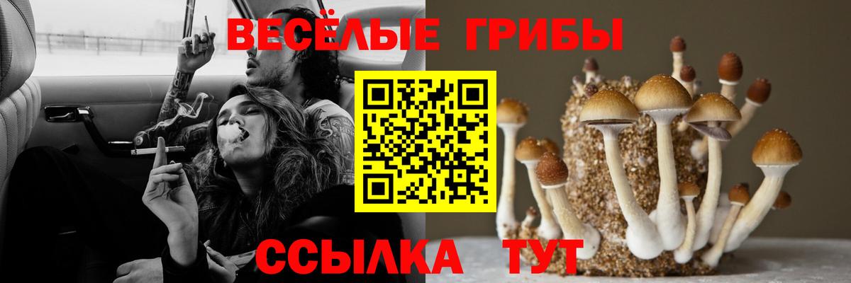 купить  цена  Вход с VPN  Обнинск  Псилоцибиновые грибы Magic Shrooms 